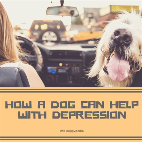How A Dog Can Help With Depression Patient Empowerment Network