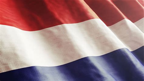 ten things to know if you re considering the netherlands for your next business move nfia