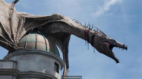 Dragons Were Real In Harry Potter So Credit David Mcgillalamy