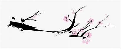 Sakura Branch Blossom Clipart Cherry Transparent Clipartkey