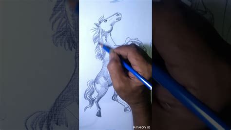 Cara Menggambar Kuda Youtube