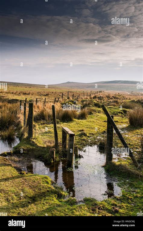 Marshy Waterlogged Ground On Rough Tor Designated As An Area Of