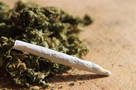 Legalização Da Maconha No Canadá Tudo Que Você Precisa Saber