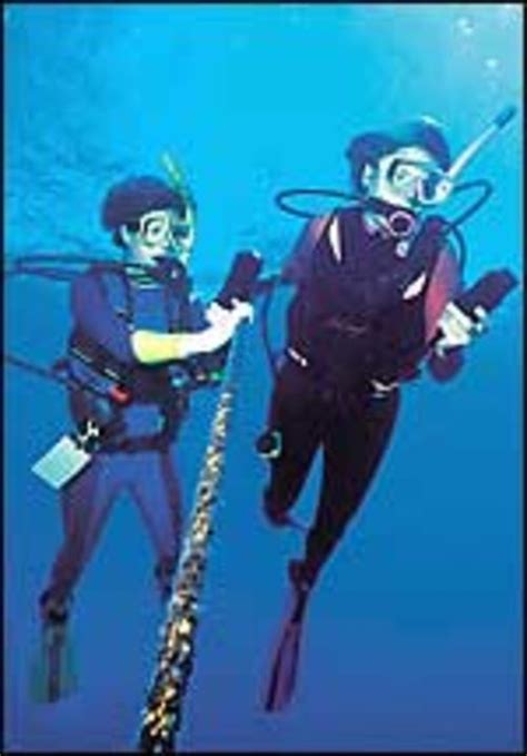 21 Tips For Decompression Diving Scuba Diving Diving Wetsuits Scuba