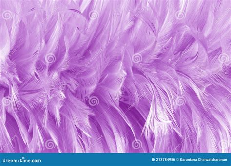 Purple Pastel Feather Pattern Texture For Background And Design Stock