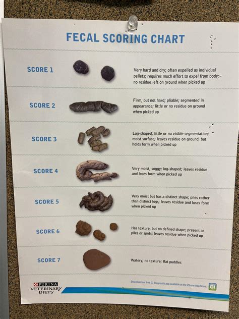 I Work At An Animal Hospital And We Have A Poop Chart Rcoolguides