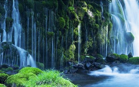 3d Green Forest Waterfall Wallpaper High Quality Nature Photo Mural
