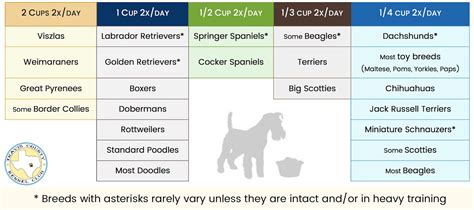 Even as you go through the chart, you should keep in mind that the number of times you feed and the correct size of the food depend on the breed, size, type of food, activity levels, metabolic rate, and age. How Much Should My Dog Eat? • Travis County Kennel Club