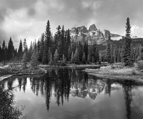 Boreal Forest Reflections Alberta Photograph By Tim Fitzharris Fine