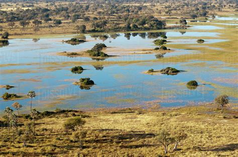 Aerial View Of Okavango Delta Botswana Stock Photo Dissolve