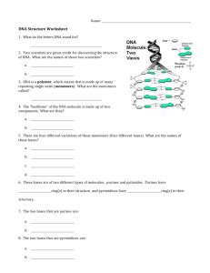 Dna is made up of four nucleotide bases, each of which. Worksheet 1 - DNA Structure