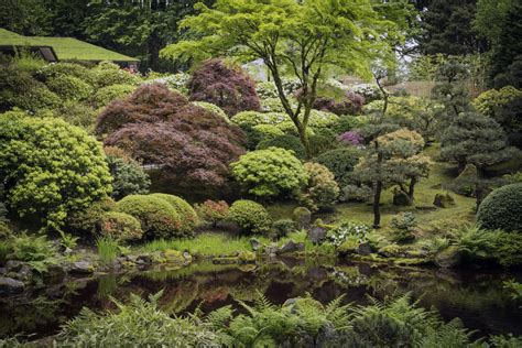 The Portland Japanese Garden: A Living Classroom ...