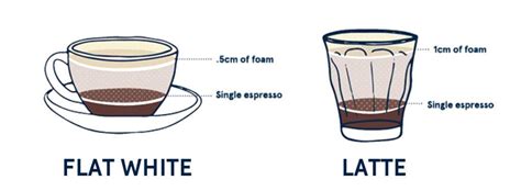 How To Distinguish Flat White From A Latte An Introduction To Coffee