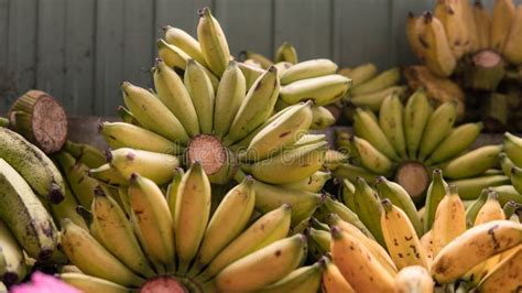 Bundles Of Ripe Bananas For Sale In Asian Markets Tropical Fru Stock