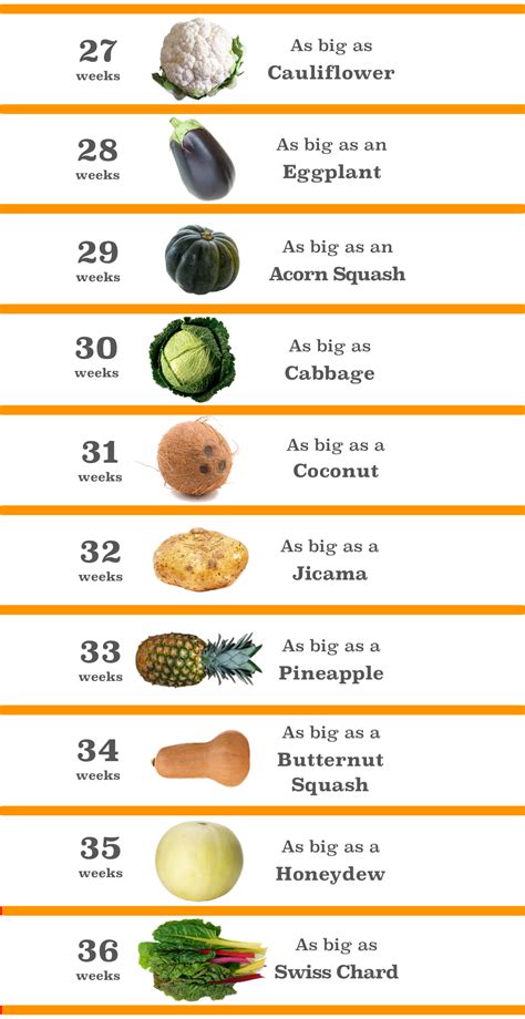 Fruit Size Chart Pregnancy Fruit Week Fetus Compared Comparison Fruits