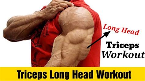Long Head Of Tricep Workout Science Based Exercise Fitkill Youtube
