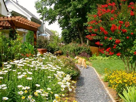 Put your canine thinking cap on, go out into your yard, and try to look now that you have a good idea of what kinds of additions you'd like to make to your yard, it is time to do your safety walk through. Dog-Friendly Garden Design | HGTV