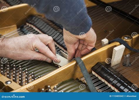 Hand And Tools Of Tuner Working On Grand Piano Stock Photo Image Of