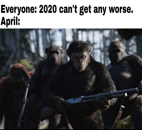 The coronavirus vaccine developed by astrazeneca and the university of oxford provided strong protection against although no clinical trial is large enough to rule out extremely rare side effects, astrazeneca reported. Coronavirus or Simian Flu? : memes
