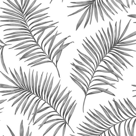 Black And White Tropical Wallpapers Top Free Black And White Tropical