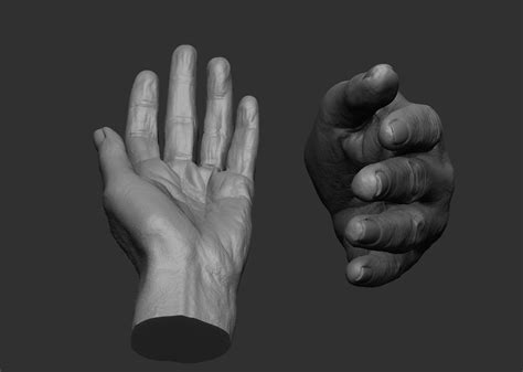 Elderly Female Hand 3D Model 3D printable STL | CGTrader.com