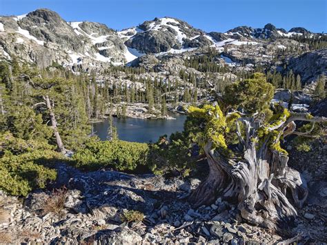 Grouse Lakes Basin Sierra Nevada Ca Usa Back In July 2019 R