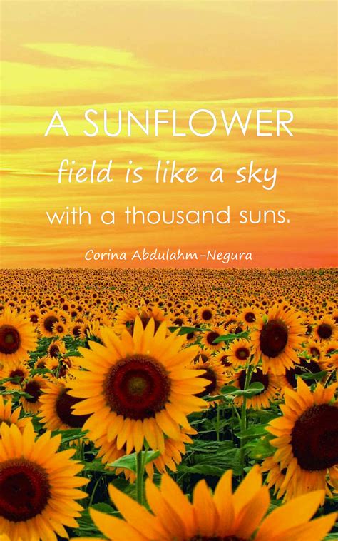 23 Beautiful Sunflower Quotes With Images