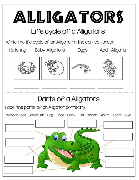 Reptiles Worksheet For Kindergarten