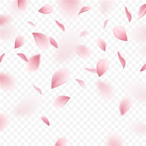 Sign in to leave a comment. Download Falling Pink Sakura Petals Realistic Illustration ...
