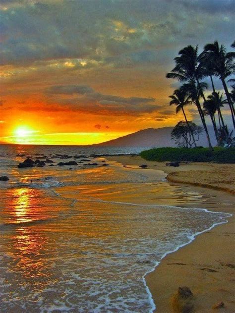 Tropical Sunset Hawaii Beautiful Sunrise Nature Sunset Photography