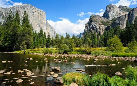 Wallpaper Yosemite National Park Mountains Forest Trees Rocks