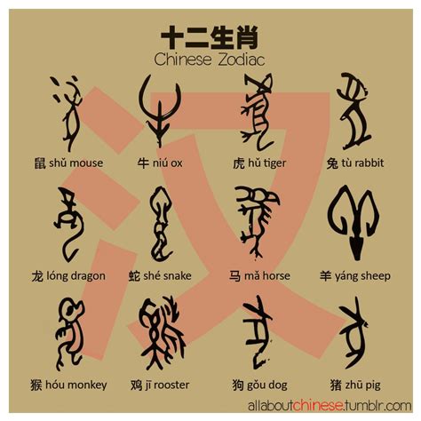 Snake Symbolism In Chinese Culture Ablones