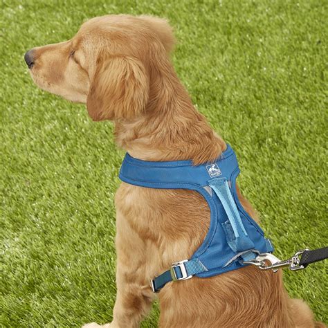 Kurgo Go Tech Adventure Dog Harness With Seatbelt Loop Blue Medium