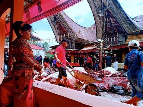 Di Toraja Ternyata Harus Ada Budaya Lain Selain Buday Vrogue Co