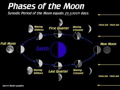 How many phases does the full moon have? StarWatch: Moravian College Astronomy