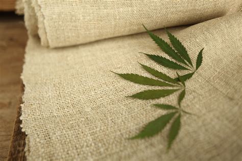 Hemp Is Becoming The Fashionable Alternative To Conventional Fabrics
