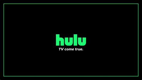 Hulu New Logo Concept By Schmerpderp On Deviantart Logo Concept