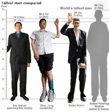 It's amazing to see how tall some people can get. The World's Tallest Man - Sultan Kosen or Leonid Stadnik ...
