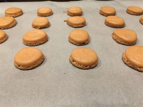 Designed for preparing up to 44 macarons per batch, it's marked with concentric circles that guide you to piping evenly sized, centered cookies. Macarons 101: A Beginner's Guide and Printable Piping ...