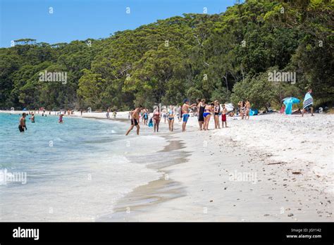 people enjoying an australian summer on murrays beach in booderee national park jervis bay stock