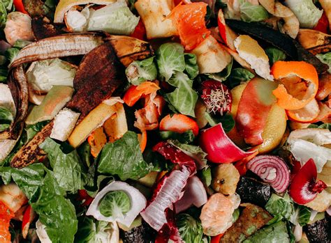 The increased demand for food we. Food waste processing and destruction | GWE Biogas