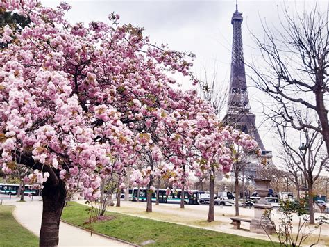 Où Est La Tour Eiffel Monde à Paris Blog Voyage