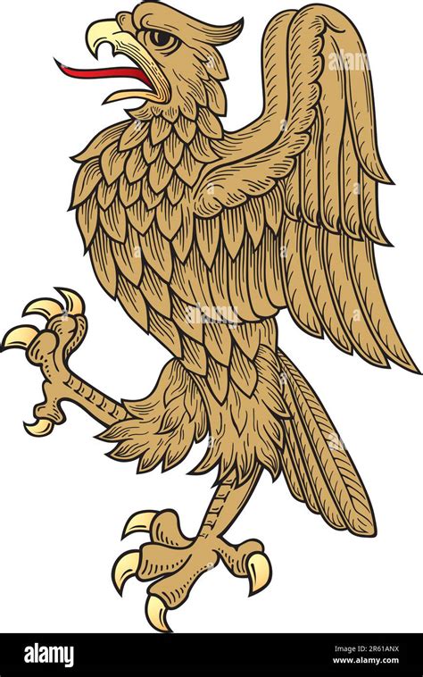 Gold Eagle Vector Stock Vector Image And Art Alamy