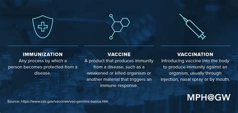 Producing Prevention How Vaccines Are Developed Online Public Health