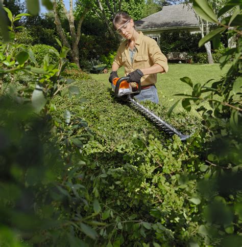 Akku Heckenschere HSA 60 Online Kaufen STIHL