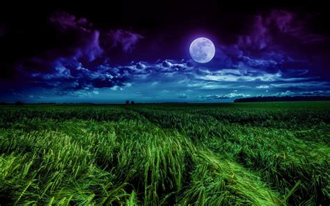 Moon Wallpaper 4k Landscape Night Field Cloudy