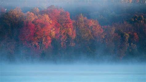Wallpaper Autumn Morning Trees Fog River 2560x1440 Qhd Picture Image