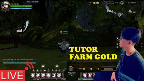 Live Guide Farming Gold Di Dn Return Dragon Nest Return 50 Youtube