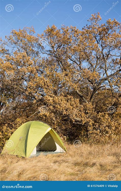 Camping Area With Multi Colored Tents In Forest Stock Image Image Of