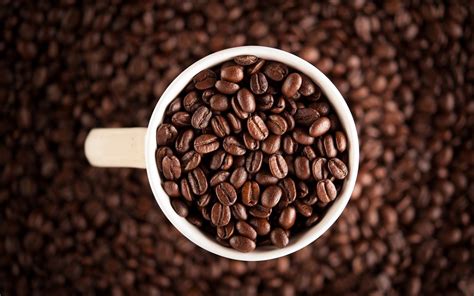 khasiat kopi jantan merah onlineshop mesin pembuat kopi  jeruklegi